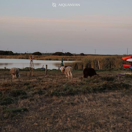Coorong Island Retreat - Farm Stay At Pet Friendly Property Meningie Exterior foto