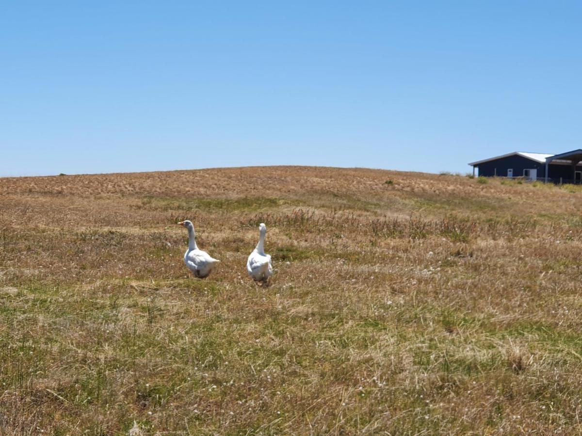 Coorong Island Retreat - Farm Stay At Pet Friendly Property Meningie Exterior foto