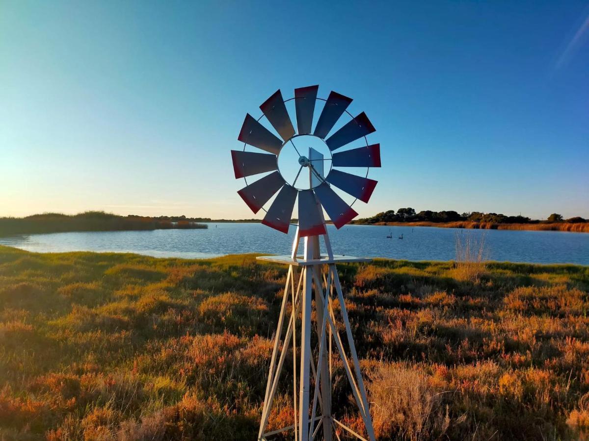 Coorong Island Retreat - Farm Stay At Pet Friendly Property Meningie Exterior foto