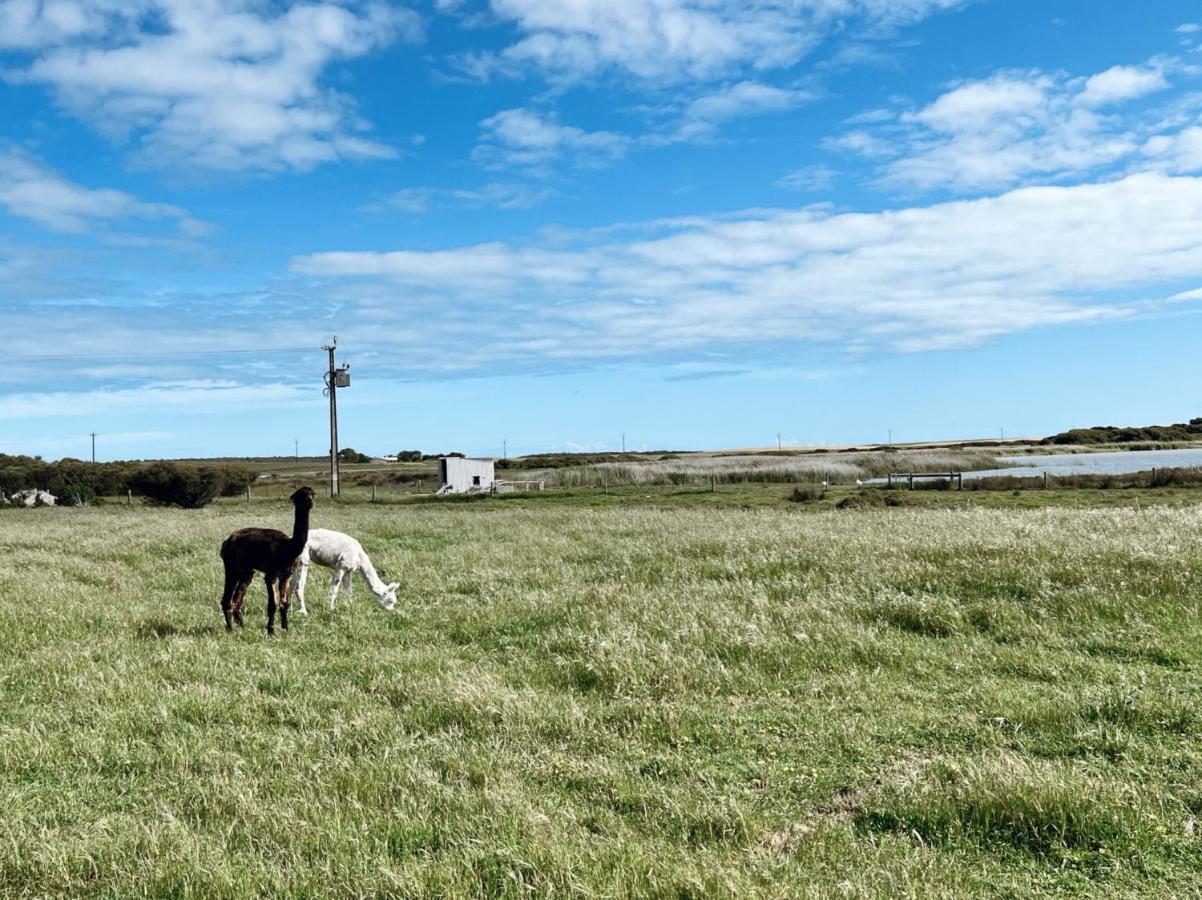 Coorong Island Retreat - Farm Stay At Pet Friendly Property Meningie Exterior foto