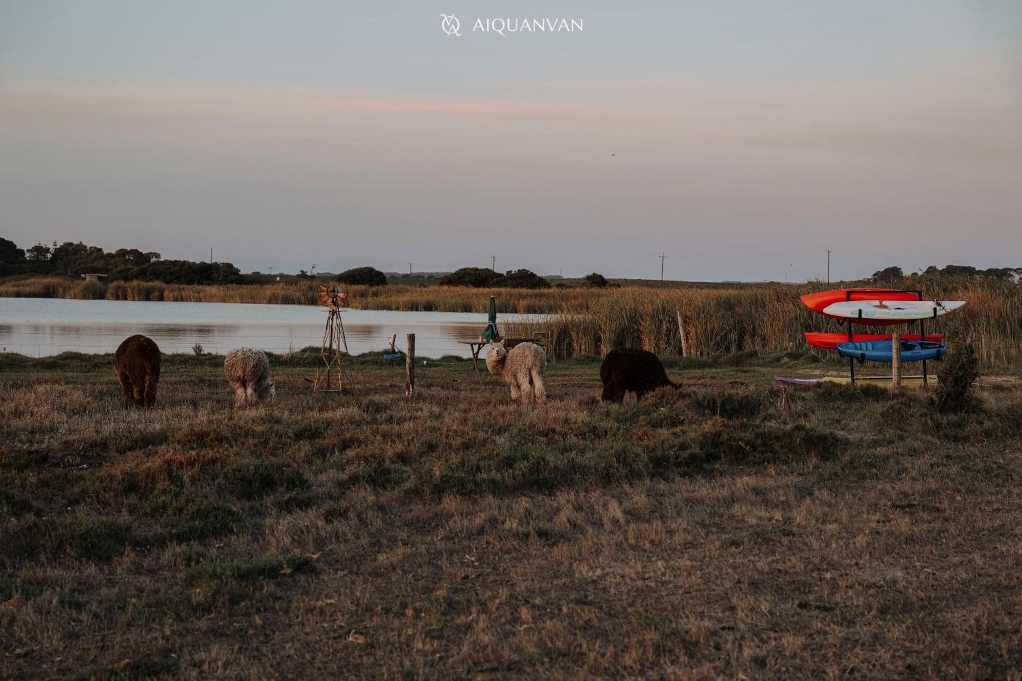 Coorong Island Retreat - Farm Stay At Pet Friendly Property Meningie Exterior foto